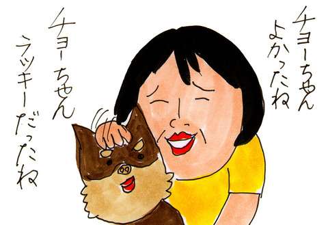さよなら　チョコ(1）まさかうちの子が！　 : カータンBLOG　あたし・主婦の頭の中 Powered by ライブドアブログ