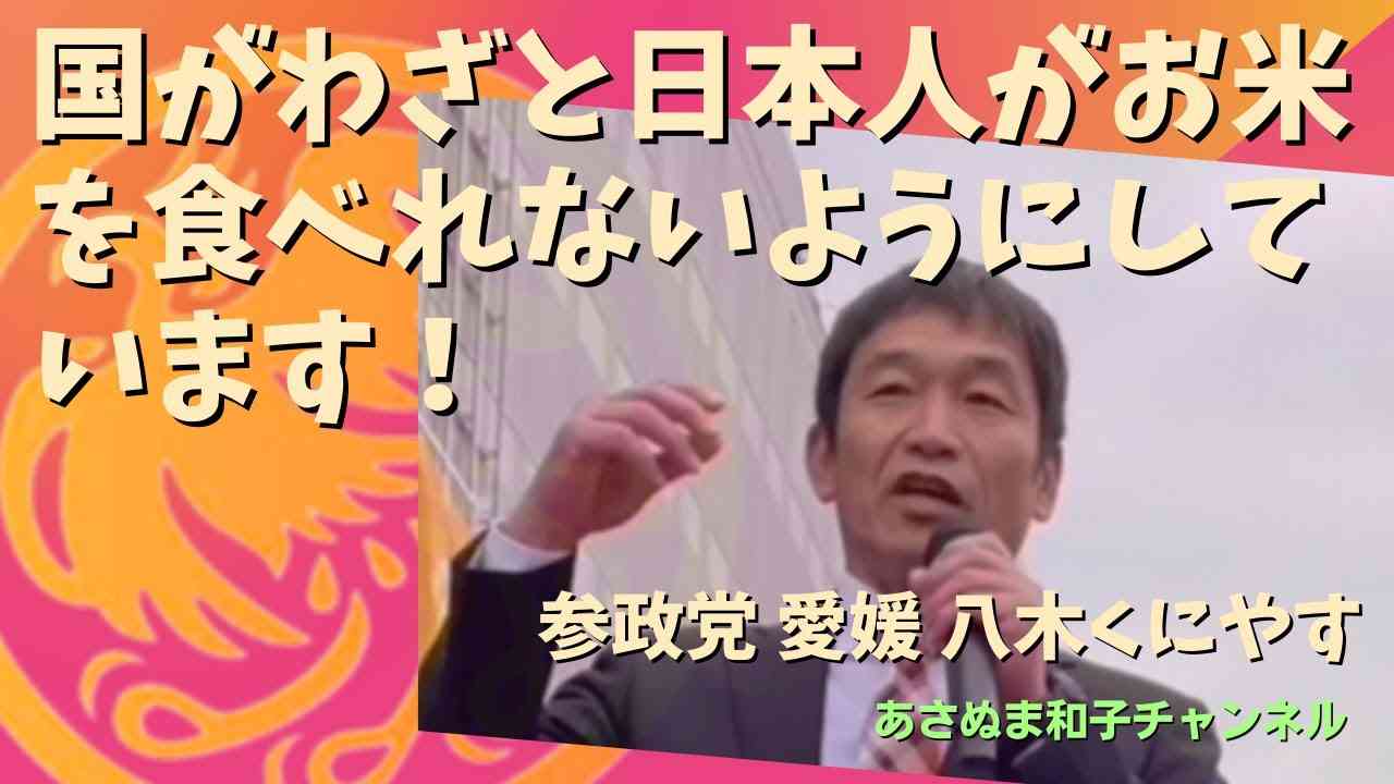 国がわざと日本人がお米を食べれないようにしています！#あさぬま和子 #浅湫和子 #参政党愛媛 #参政党 #八木くにやす #山本定彦 #池田さちこ - YouTube