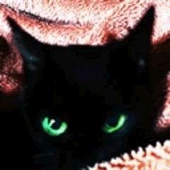クロイヨシツネ on Twitter: 