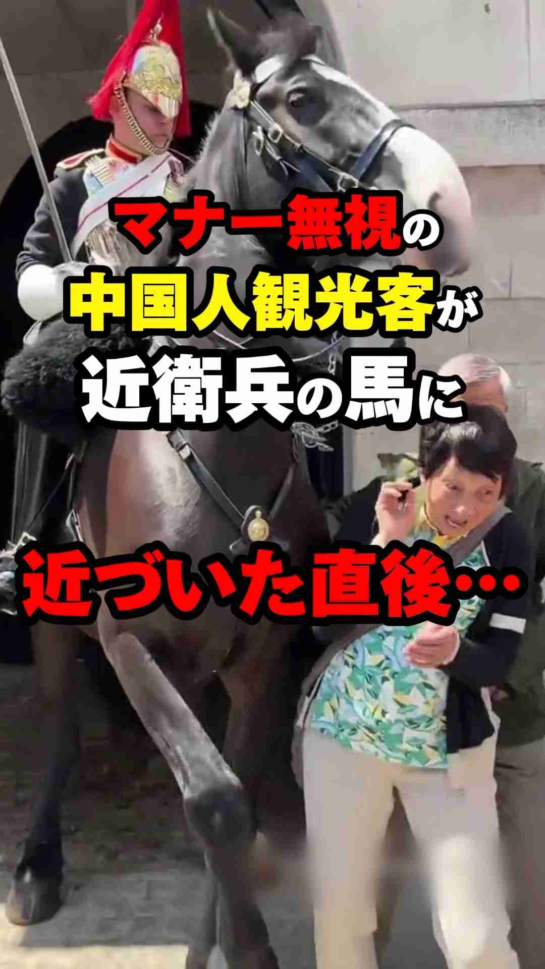 【日本人との差】マナー無視の中国人観光客が近衛兵の馬に近づいた結果… #海外の反応 #shorts - YouTube