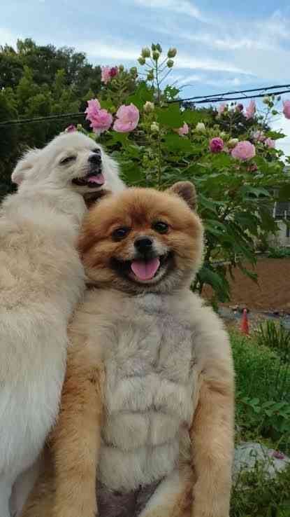 旦那の服から怪しげなレシート