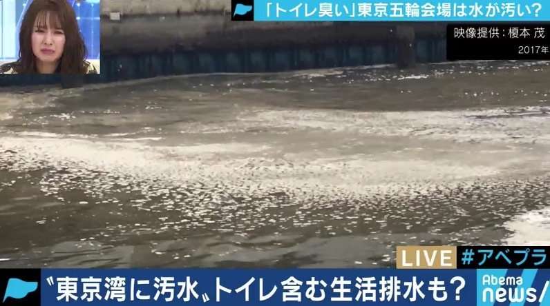 「残ったトイレットペーパーが泡のように…」「五輪には到底間に合わない」お台場の汚水に衝撃…今からでもできる東京湾の対策は | 国内 | ABEMA TIMES | アベマタイムズ
