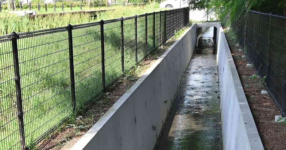 鎌ケ谷市は基準値の240倍、摂津市は420倍…飲んだら危険！｢全国『水質』汚染マップ｣の衝撃数値 | FRIDAYデジタル