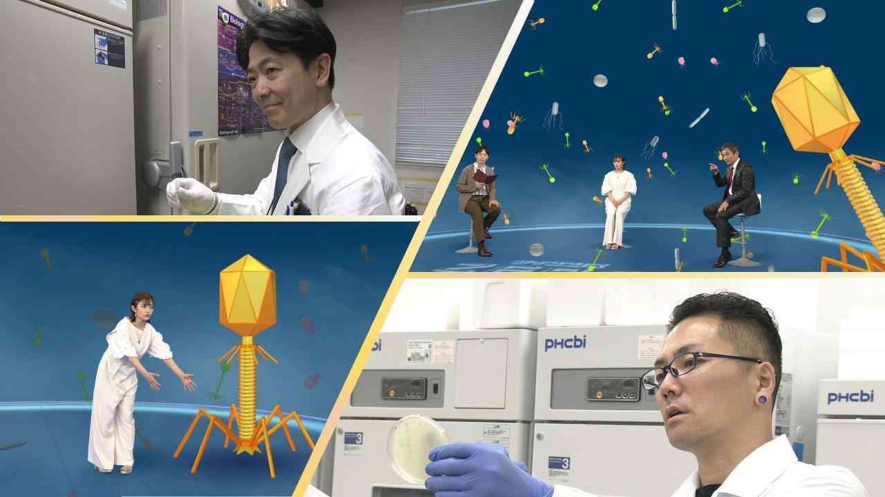 薬剤耐性菌への切り札!? 最新医療“ファージセラピー” - サイエンスZERO - NHK
