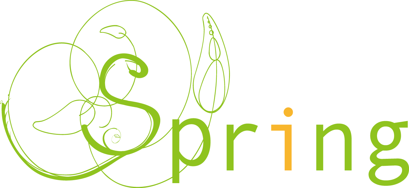 一般社団法人Spring  Just another WordPress site