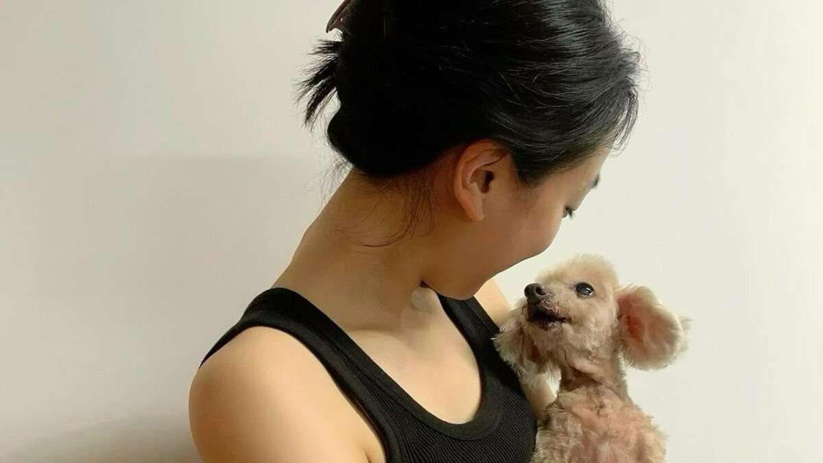 浅田真央さん　愛犬エアロが虹の橋を渡ったことを報告　「空に向かってぴょんぴょんと駆け上がり」「本当にありがとう」 | TBS NEWS DIG