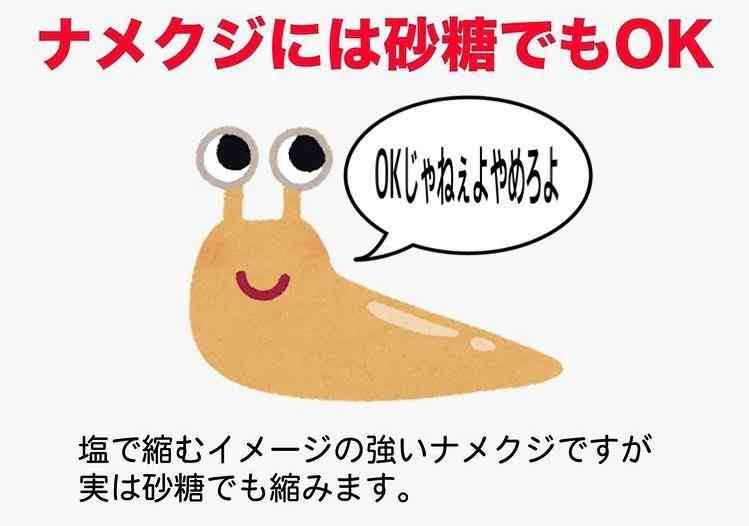 中谷美紀：オーストリアの山荘を公開　ゴミ収集は「2週間に一度」　田舎暮らしで「おおらかさが身につきました」