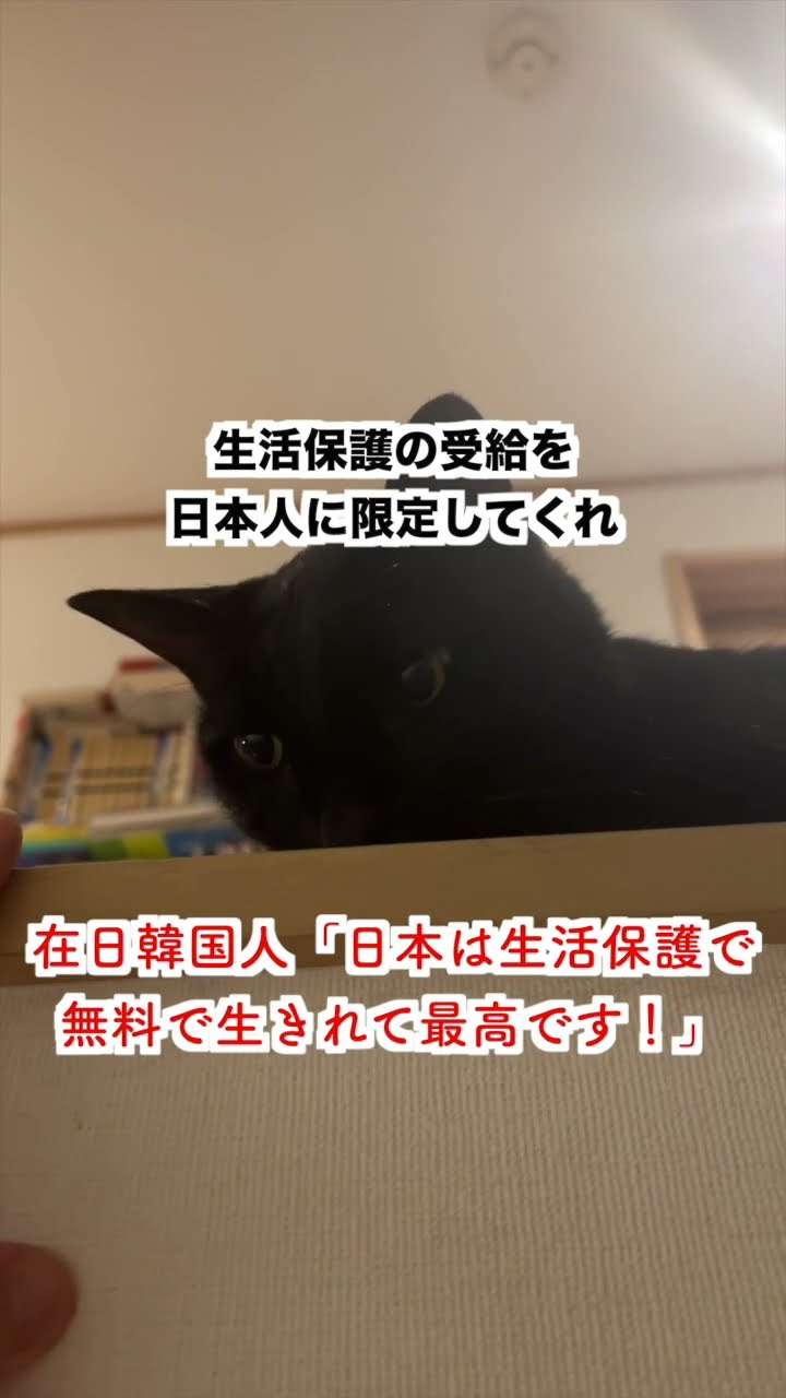【激怒】在日韓国人「生活保護で無料で生きれる日本最高です！みなさん税金払ってくれてありがとう」 - YouTube