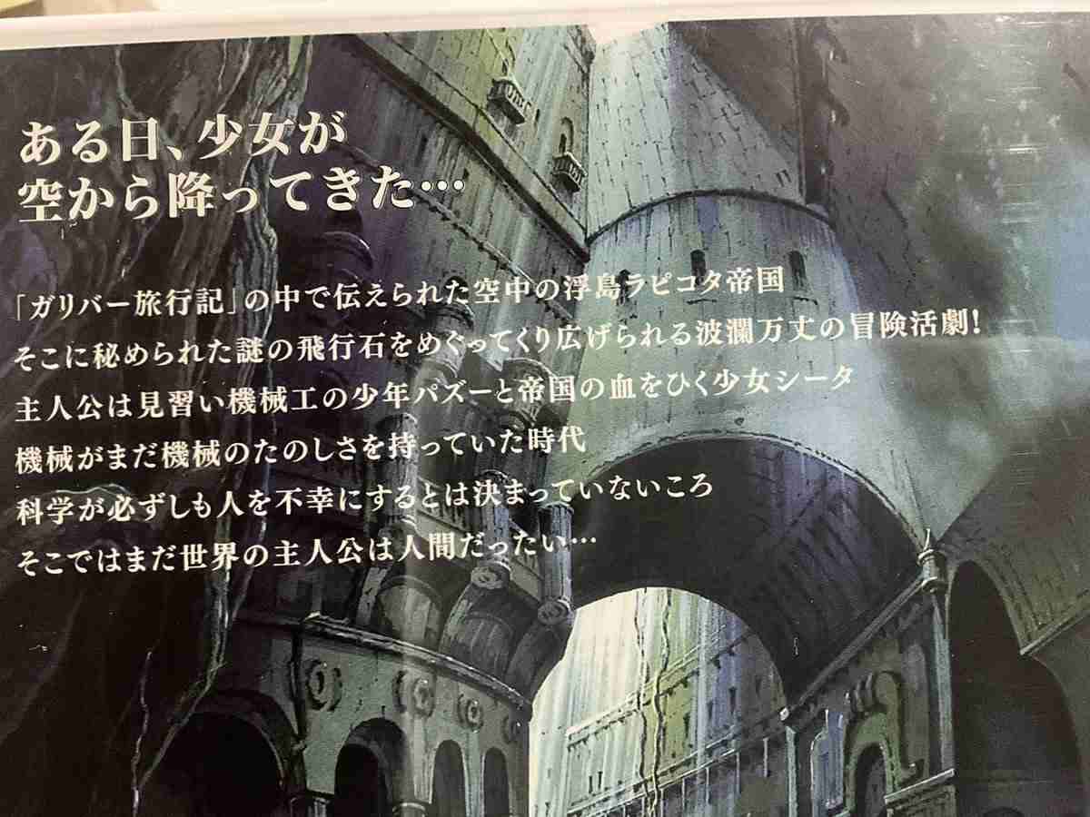 「ラピコタ帝国」「人間だったい」　“ラピュタ”のDVDを買ったと思ったら…　とんでもない“ニセモノ”が話題 「笑うw」「逆に見てみたい」