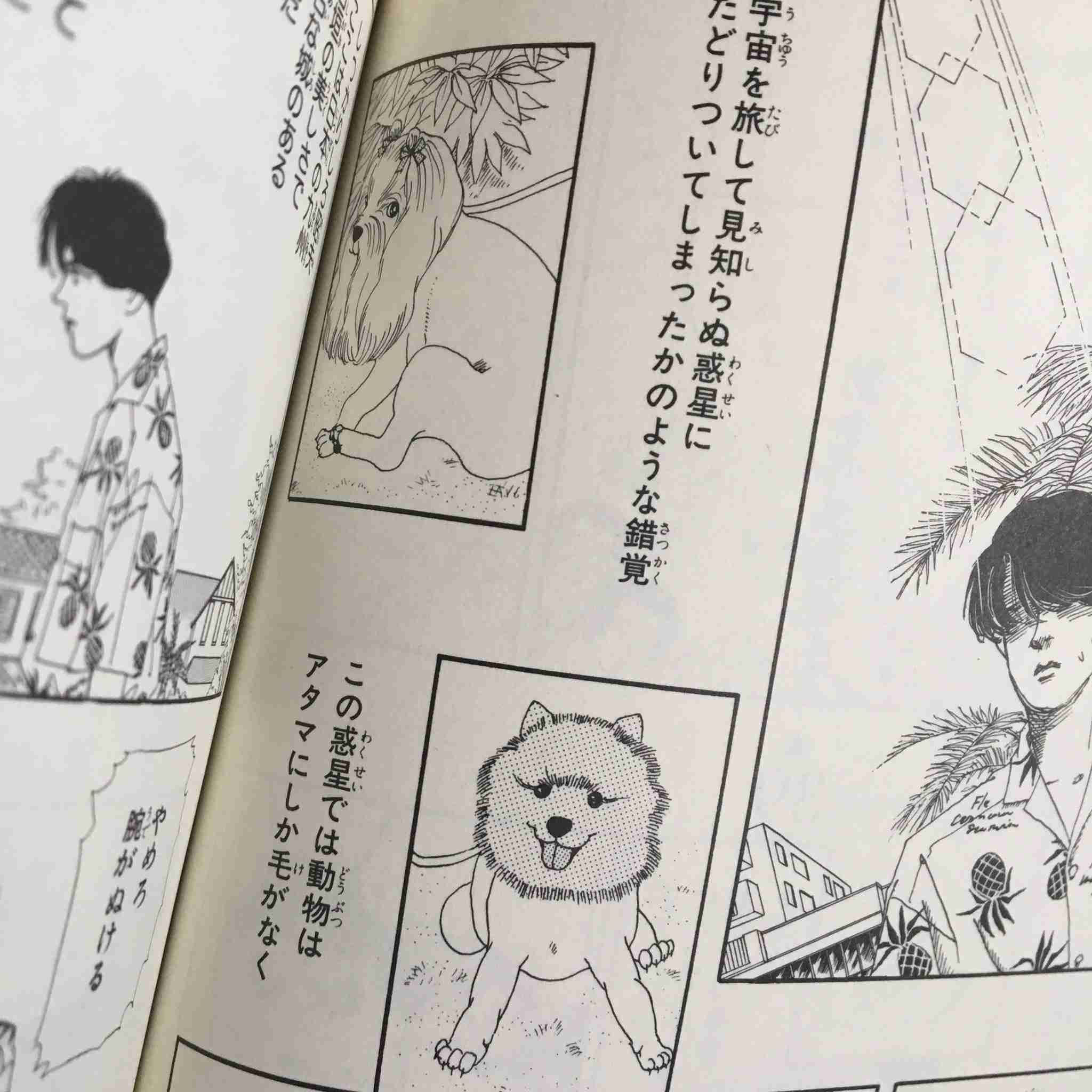 サマーカットされちゃった動物たち