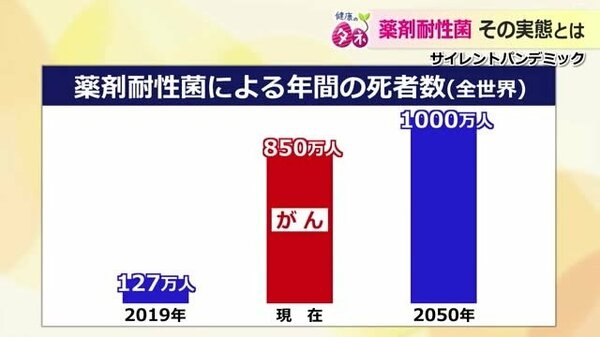 「サイレントパンデミック」薬の効かない薬剤耐性菌が静かに拡大中　2050年にはがん死者を超える恐れ｜FNNプライムオンライン