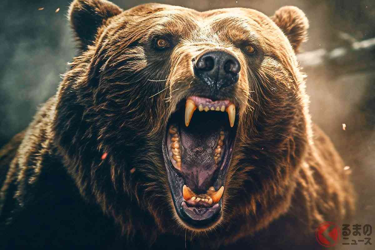 「クマだァァ！」 車で遭遇しても「バック」はダメ!? 