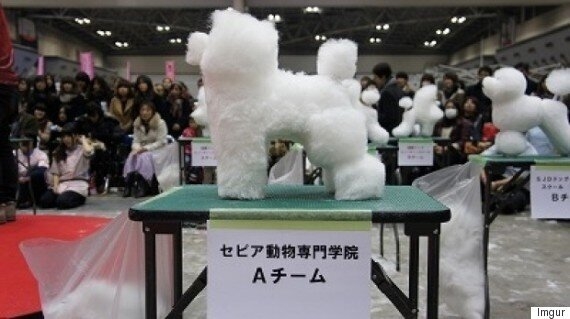 サマーカットされちゃった動物たち