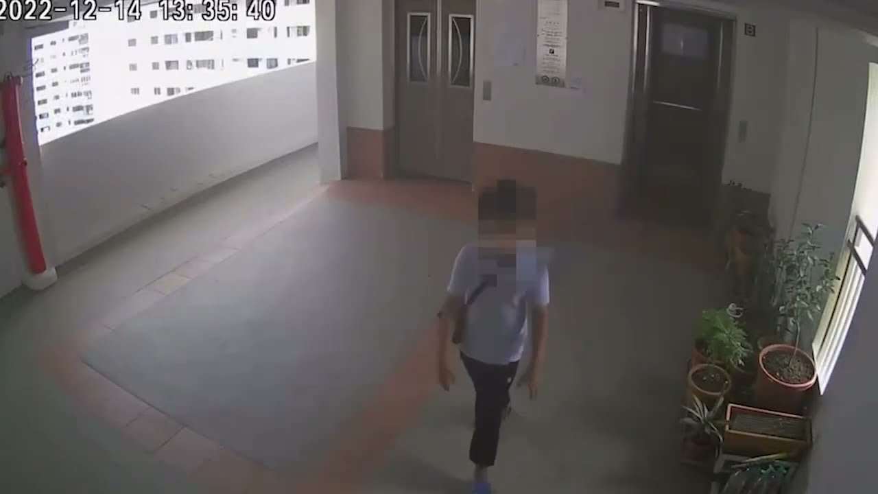 Cat thrown off 22nd storey on 14 Dec - YouTube