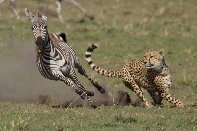 ググってもわからないことを聞いてみるトピ