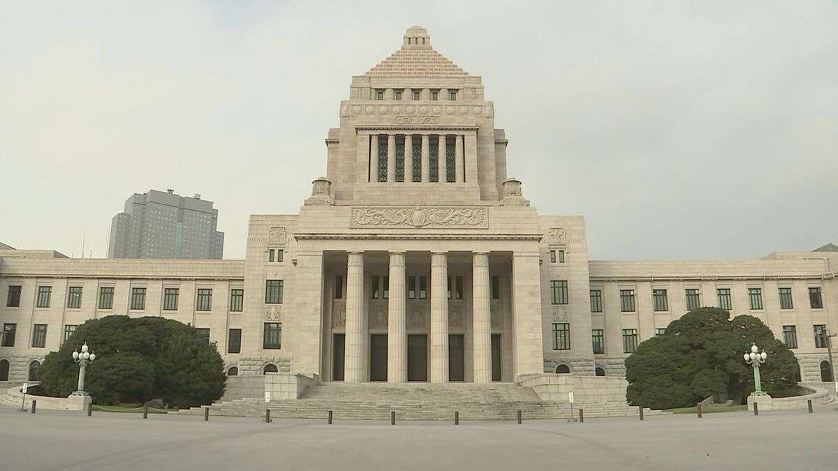 2023年分の国会議員所得、衆参平均で2530万円　5年ぶりに増加に転じる　トップは自民・中西健治衆院議員7億4679万円 | TBS NEWS DIG (1ページ)