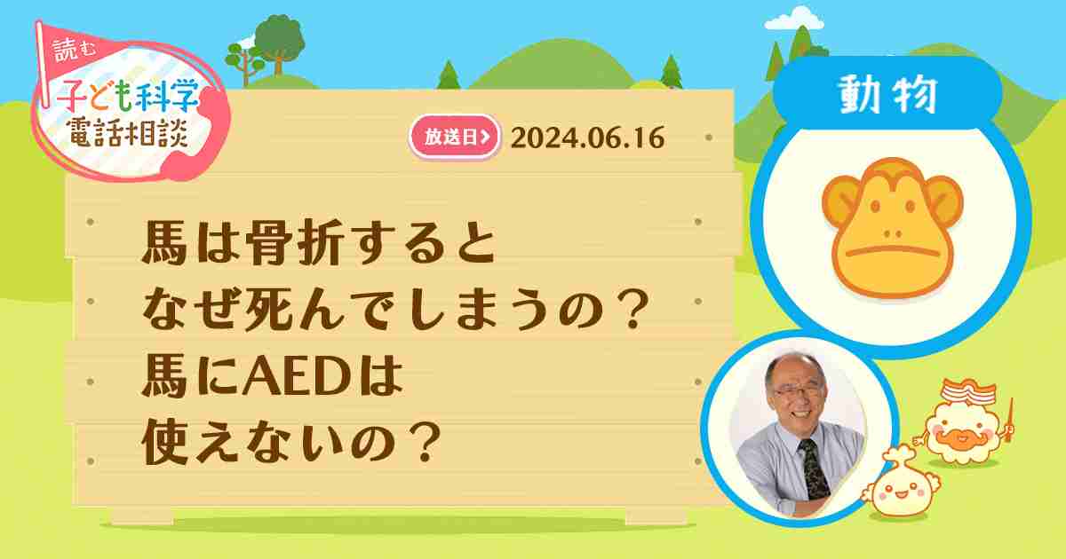 馬は骨折するとなぜ死んでしまうの？　馬にAEDは使えないの？｜読むらじる。｜NHKラジオ らじる★らじる