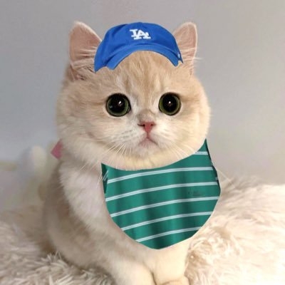 ぺぴ☆ミ on Twitter: 