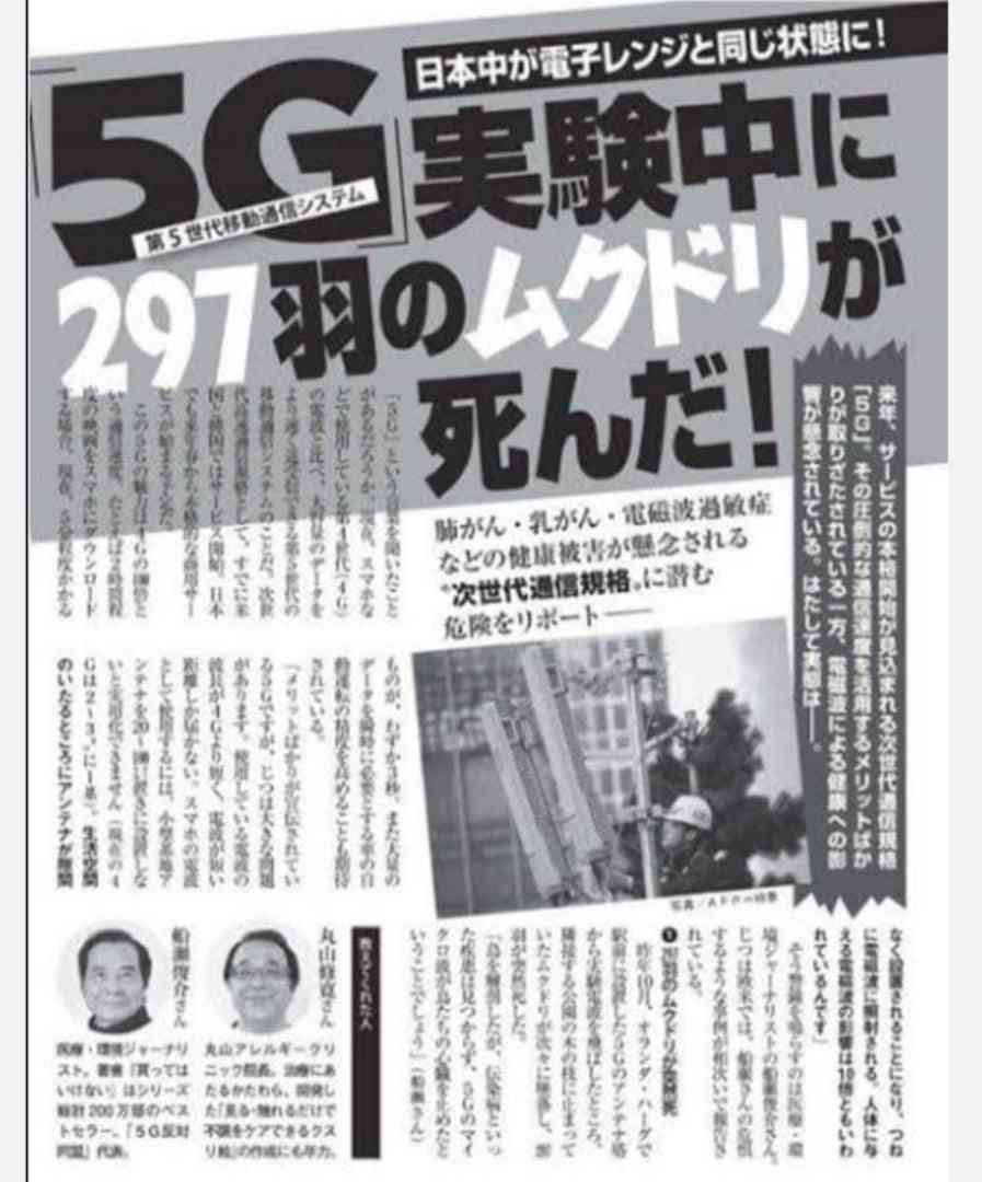 兵器に転用できる「5Gの危険性」を改めて考えてみよう。健康ダイエットに電磁波対策は必須ですよ！ | 心と体を健康にするダイエット法