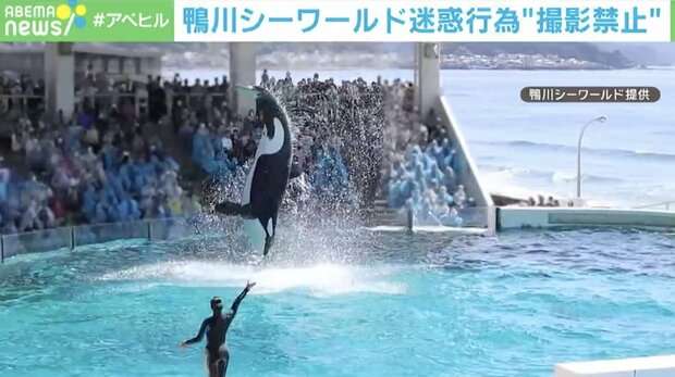 営利目的の撮影やライブ配信も…鴨川シーワールドで迷惑行為 撮影禁止に - ライブドアニュース