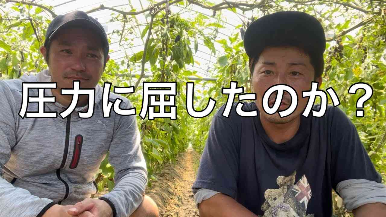 【酪農】ドブに捨てた命は何の為に！？ - YouTube