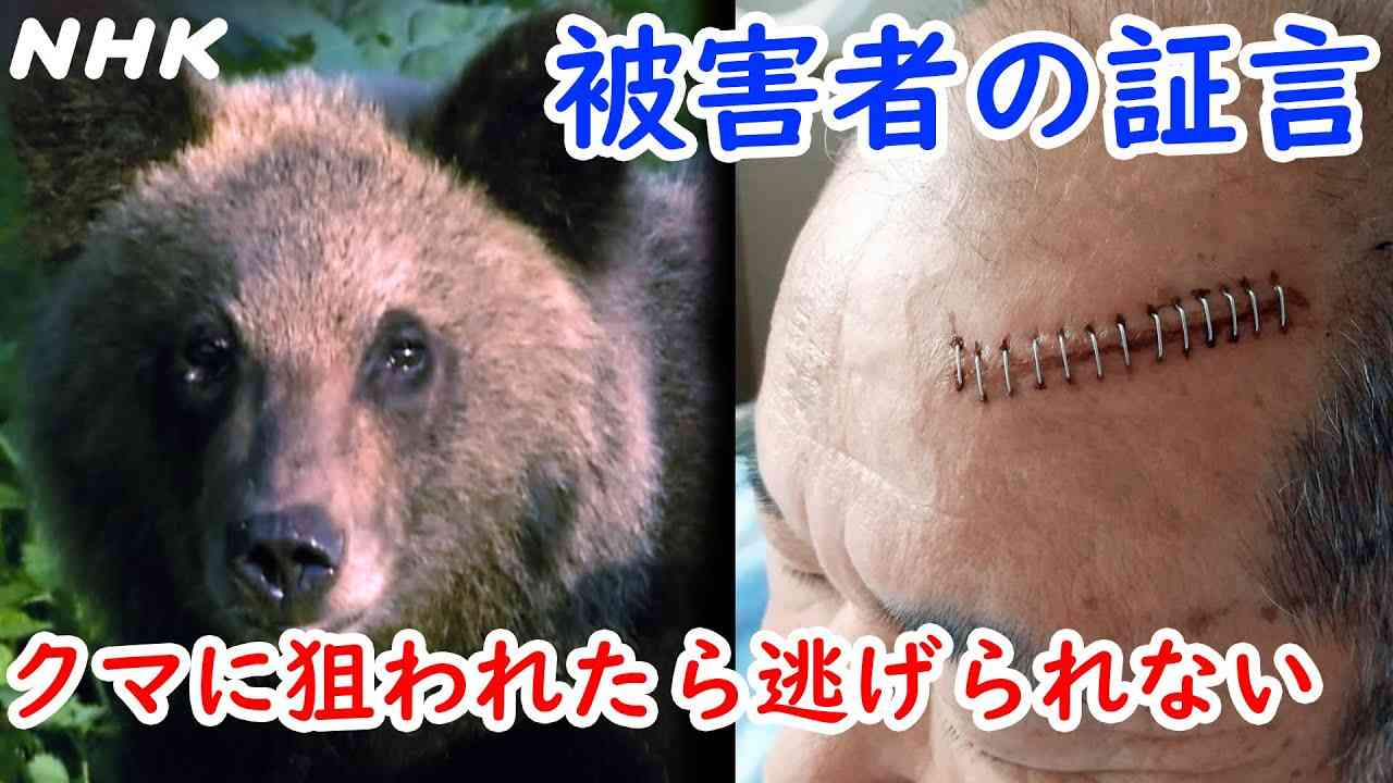 「捕獲か射殺しないと『人間は怖くないんだ』という遺伝子が残ってしまう」青森・クマによる女性死亡事故　救出に当たったハンターが警鐘「音を鳴らせばクマが離れる」過信しないで