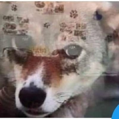 きたみか on Twitter: 
