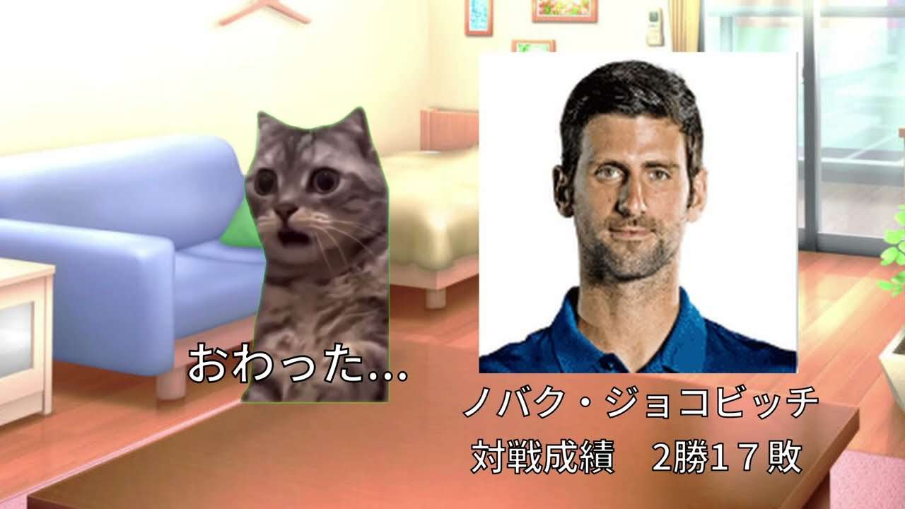 錦織圭を応援するときにあったこと　#猫ミーム - YouTube