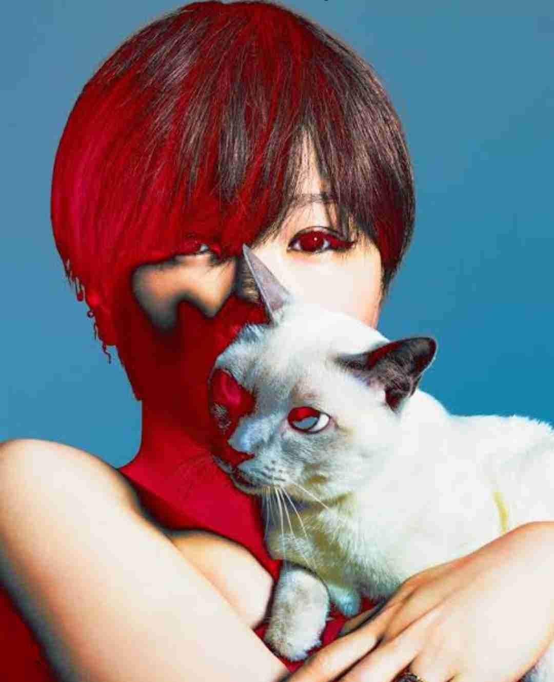 椎名林檎のNo.1ソングを決めたい【アンチ禁止】