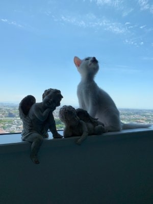 FUKUDA MAKOTO on Twitter: 