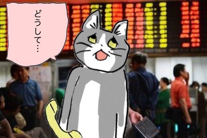 現場猫を見て癒されたい!Part6