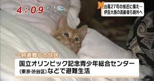 避難所での体験談