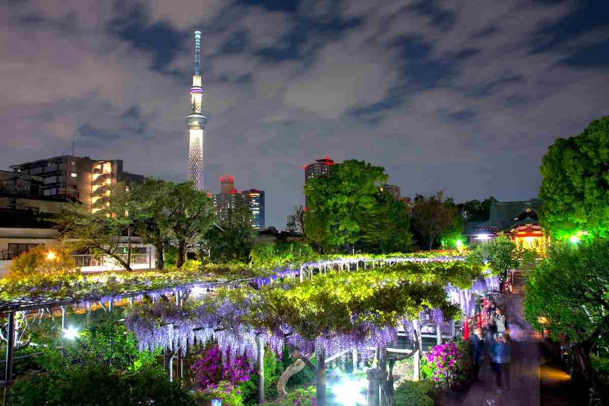 東京を感じる景色
