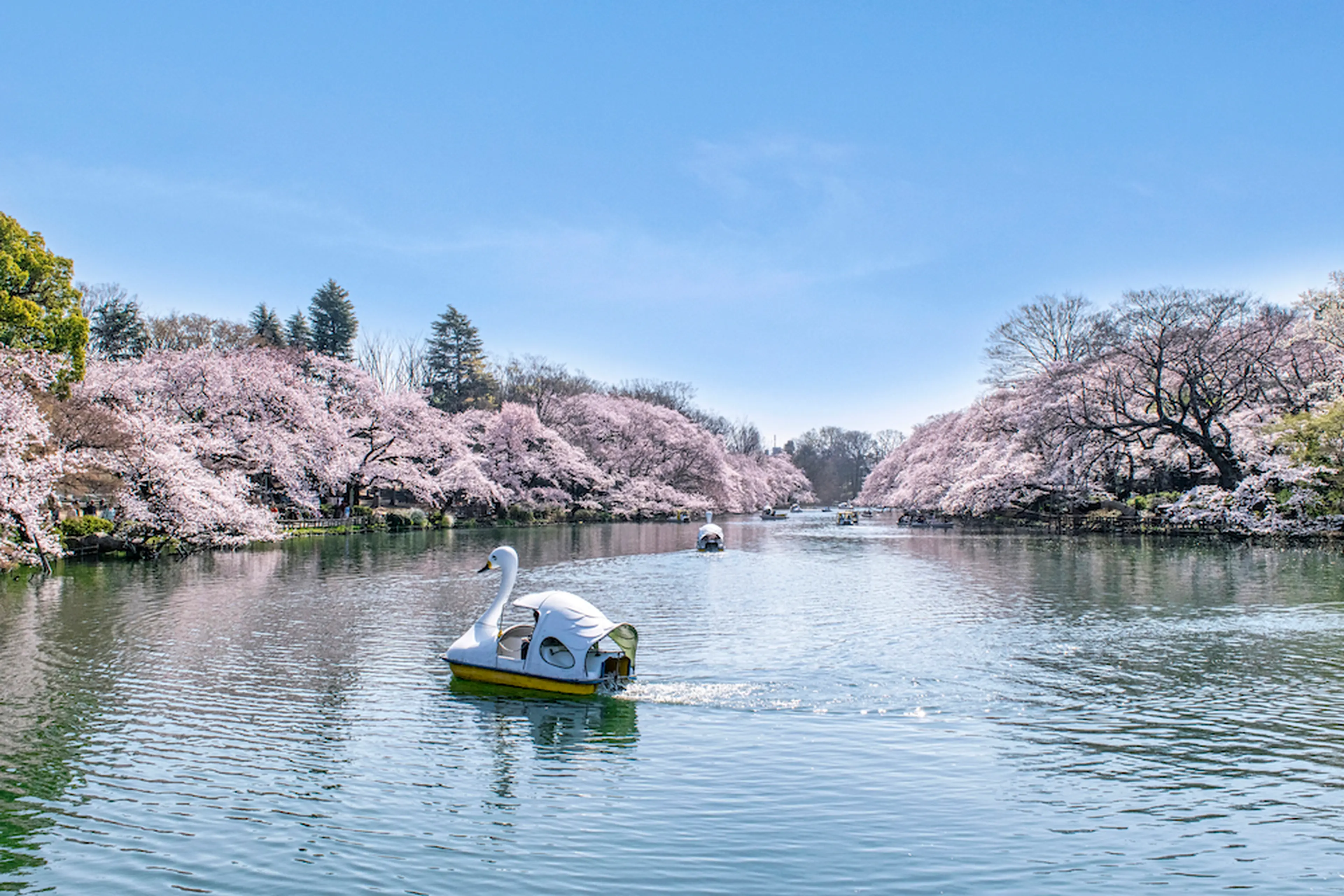 東京を感じる景色