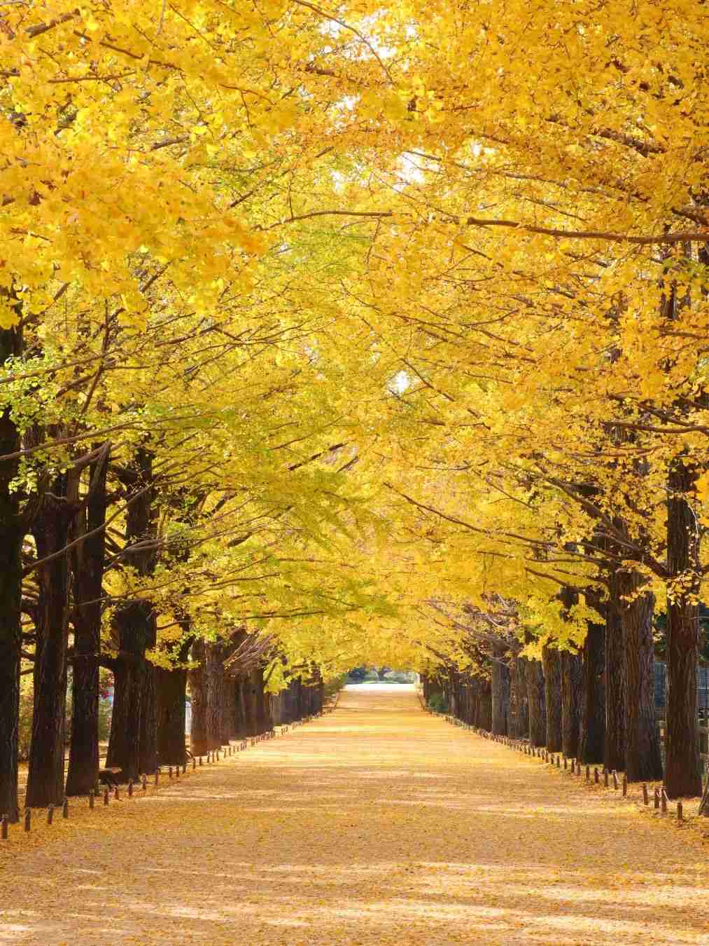 東京を感じる景色