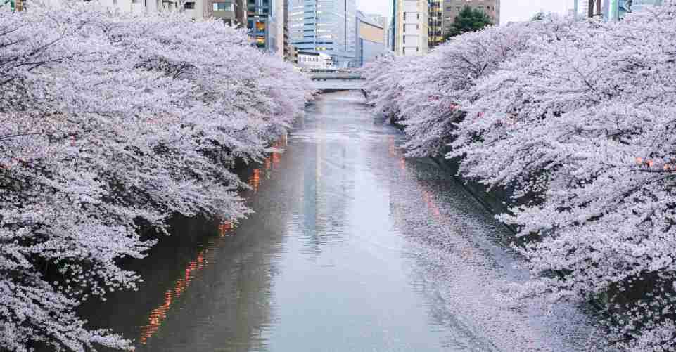 東京を感じる景色