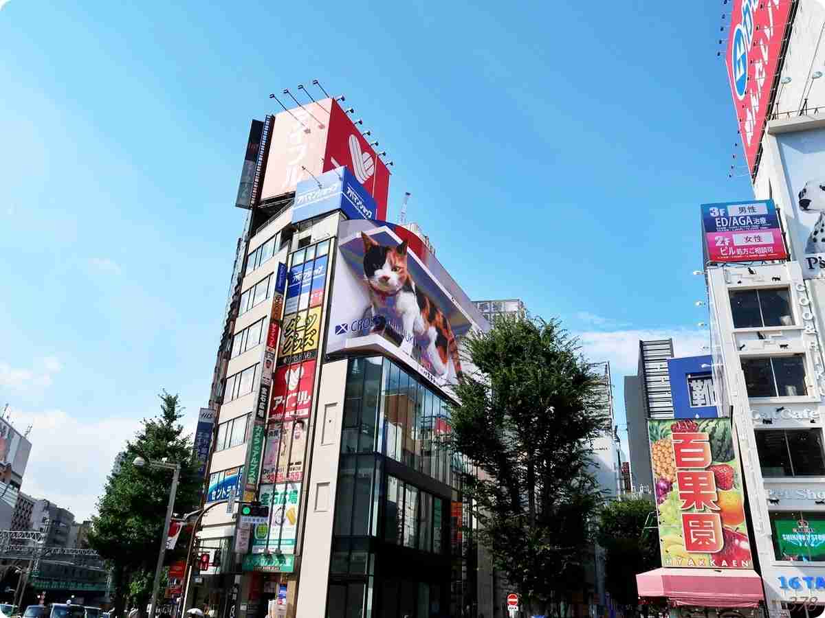 東京を感じる景色