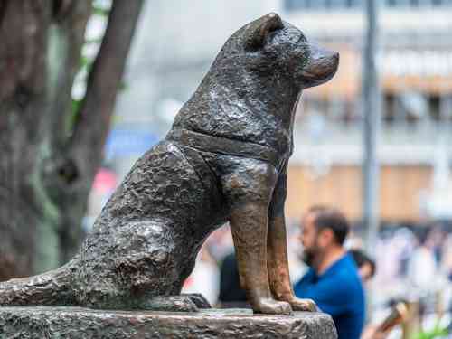 東京を感じる景色