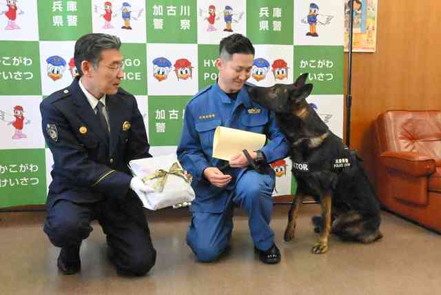 枕のにおい嗅ぎわずか16分、鼻先向けると…　警察犬ヴィクトール号、尼崎で不明者を発見