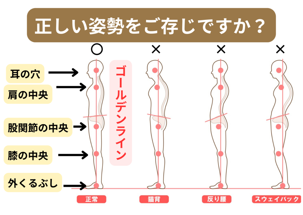 姿勢を自力で良くする方法