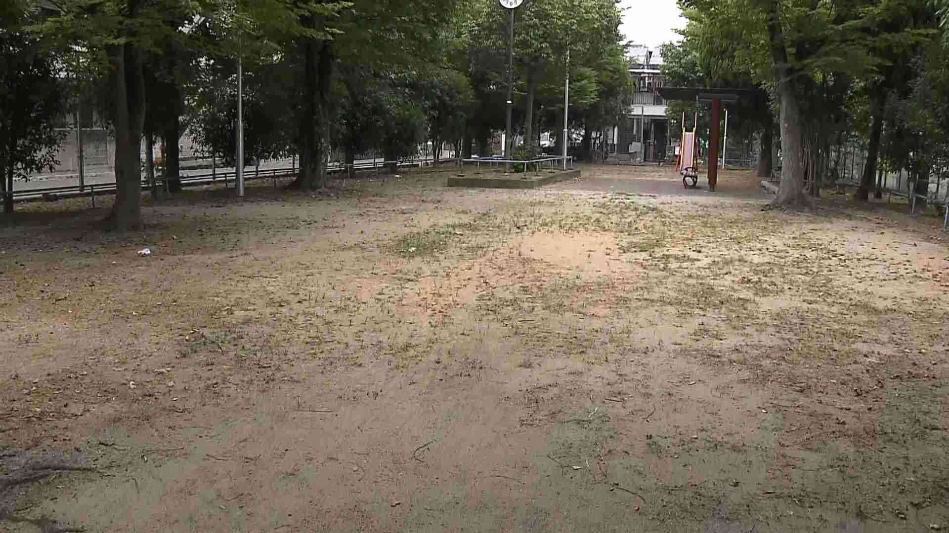 “グリ下で出会った”19歳の男ら3人逮捕　公園で20代男性が暴行受け意識不明の重体　他にも男女数人が逃走中　大阪・豊中市