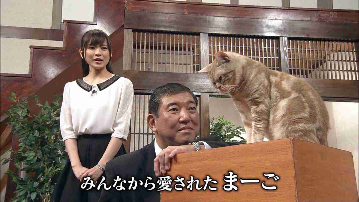 色んな写り込みの画像を貼るトピ