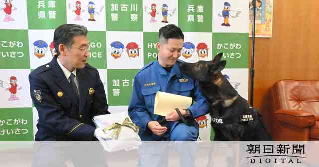 警察犬ヴィクトール、元日出動で命救う　人気のない雑木林をクンクン [兵庫県]：朝日新聞デジタル