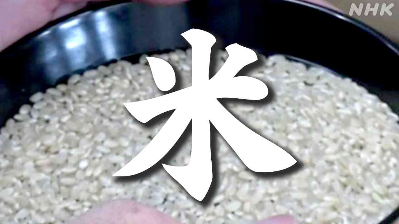 “米がない”米不足はいつまで続く 品薄の背景は？福井では直売所でコメ販売できず 滋賀で新米の出荷も | NHK | 農業