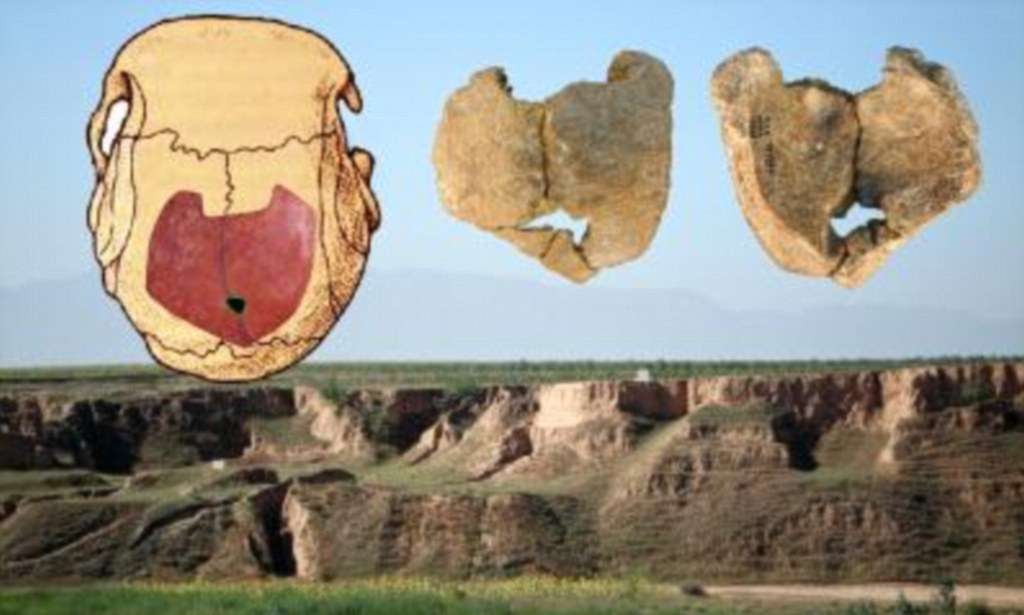100,000-year-old skull that shows signs of inbreeding adds evidence to theory that our ancestors regularly practised incest | Daily Mail Online