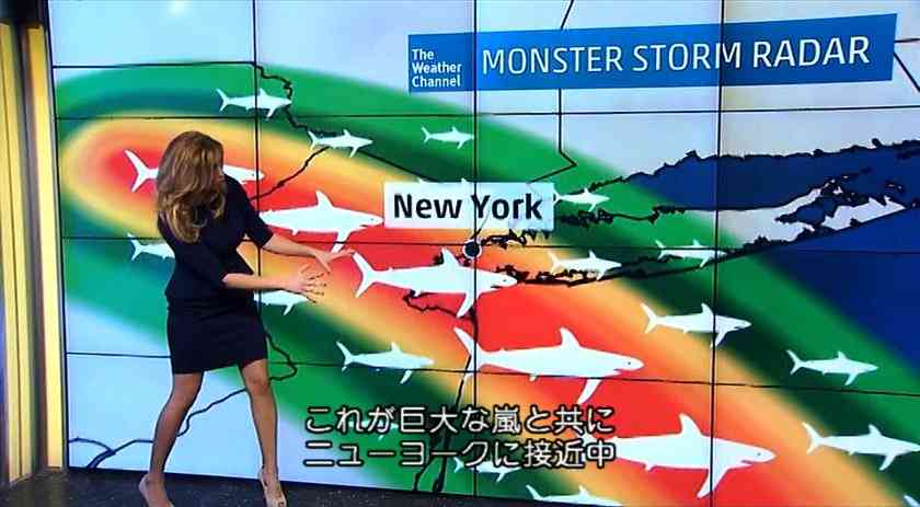 期待してなかったけど面白かった映画ドラマ