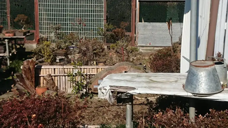 どこかに何かが隠れているような画像