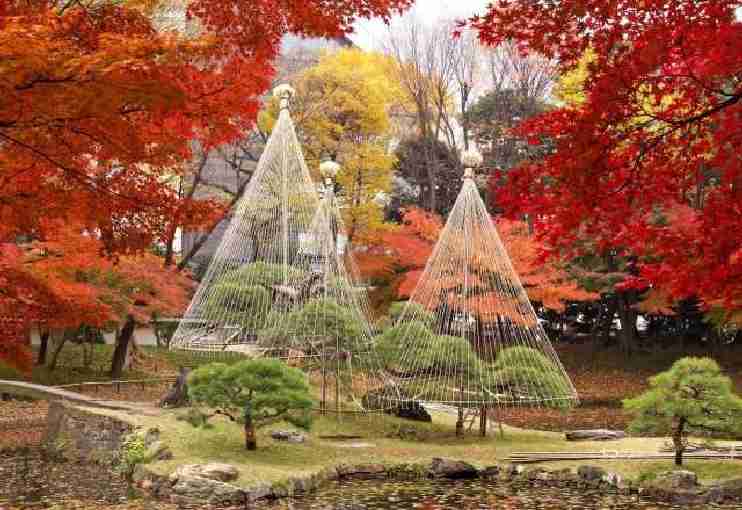 東京を感じる景色