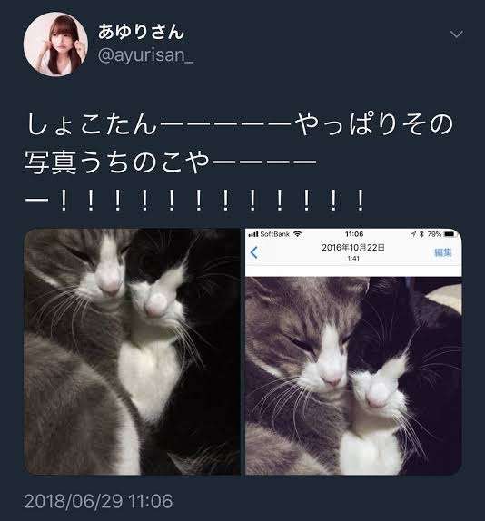 中川翔子「しんどい」“注文の多い”駐車場に嘆き　支払いは1000円札のみ、新500円はNGに…