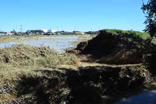＜台風19号＞東松山、都幾川と九十九川が決壊　270戸浸水、住民ら困惑「どこから手を付ければ」｜埼玉新聞｜埼玉の最新ニュース・スポーツ・地域の話題